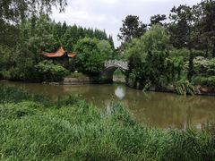 -日照海滨国家森林公园