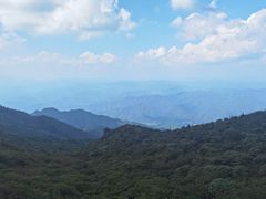 -大围山国家森林公园