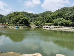 -广州市帽峰山景区