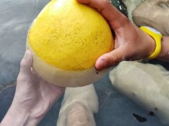 -裕龙汤泉