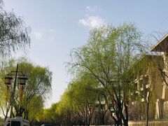 -西安曲江寒窑遗址公园
