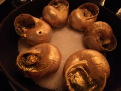 -金蜗牛