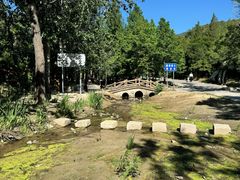 -白水寺森林公园