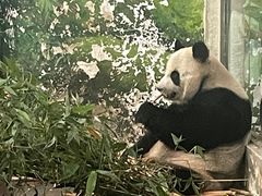 -柳州市动物园