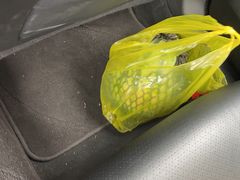 -上海龙吴水胜海发市场