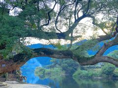 -上坦村