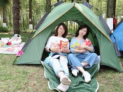 -黄海国家森林公园