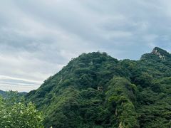 -大岭沟猕猴桃谷风景区
