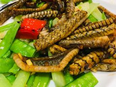 -顺德了能馆(虎门店)