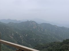 -大岭沟猕猴桃谷风景区