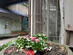 -艾加柒克蛋糕茶歇甜品台(春熙路店)