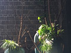 -白鹭原茶艺馆