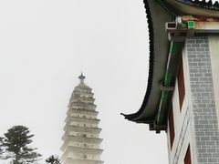 -阿鹏故事云南野生菌火锅(人民路店)