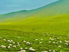 -祁连山草原