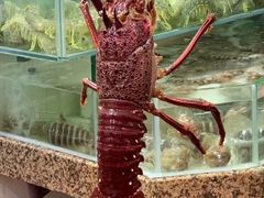 -鲤鱼门海鲜街