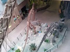 -陕西自然博物馆