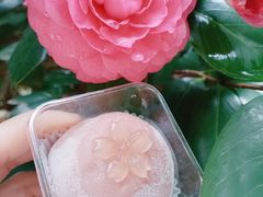 -元祖食品GANSO(星沙店)