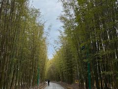 -蝴蝶泉公园
