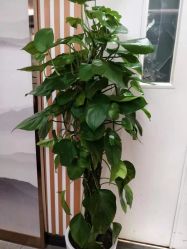 -永琪护肤造型