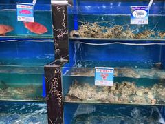 水产区-君港海鲜(三亚湾店)