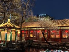 -白家大院·王府宫廷菜(苏州街店)