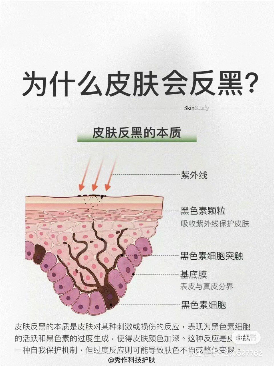皮肤为什么会反黑