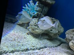 -上海海昌海洋公园