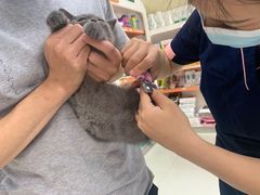 -瑞鹏宠物医院·微创内窥镜·骨外科·牙科(翠竹分院)