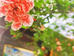 -西安市广仁寺