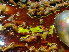 -黑竹香鸡(营和巷店)