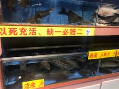 水产区-皮记海鲜1995(寮步店)