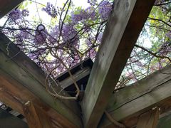 -白塘生态植物园