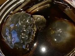 -黄记大闸蟹专卖店·活蟹·醉蟹