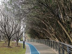 -苏州河梦清园环保主题公园