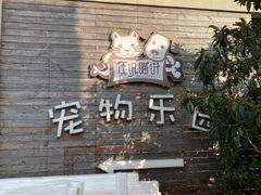 -汪说喵讲宠物乐园宠物酒店(红星美凯龙店)