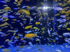 -成都浩海立方海洋公园