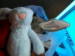 -PAWTOY爪e玩偶店(天兴罗斯福店)