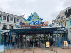-芜湖新华联大白鲸海洋公园