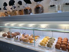 -BLACKSWAN黑天鹅(环球店)