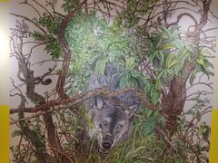 -【朵云轩艺术中心】博洛尼亚插画展·中国巡展·上海站
