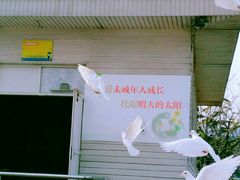 -在海一方公园
