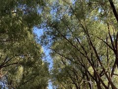 -吉林大学(前卫南区)