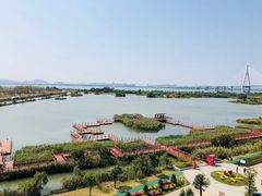 -芒洲湿地公园