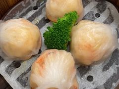-佛山顺德香云纱园林酒店(清晖园店)
