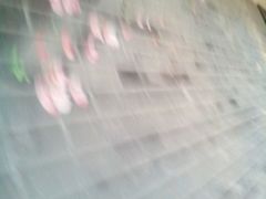 -湖滨国际酒店中餐厅·宴会厅