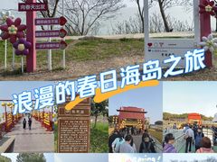 -巢湖姥山岛