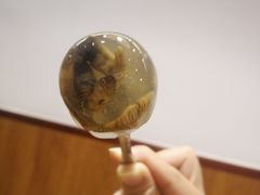 土笋冻-铭聚章鱼土笋冻(松柏店)