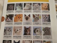 -袖虎·猫馆(体育西路店)