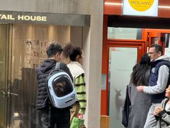 -莫朗核桃饼(虹泉路店)