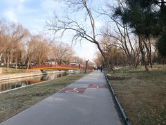 -元大都城垣遗址公园